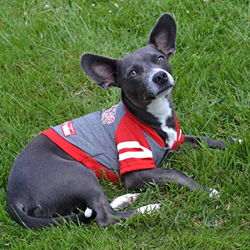 NCAA Ohio State Buckeyes Hoodie for Dogs & Cats (Ohio State Buckeyes / Large)