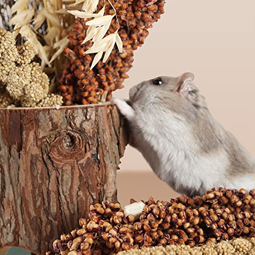 Natural Ear of Grain Flower&Herb Bedding Mate Habitat Decor (Grain)