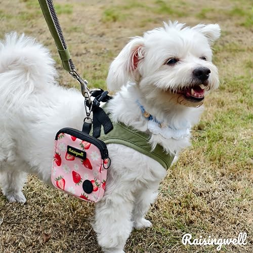 Dog Treat Pouch for Pet Walking and Training with Clicker Poop Bags Small Fanny Zipper Pack Holder for Puppy Snack Dispenser Kit for Leash and Outdoor Use (One Bag / b1.Strawberry)
