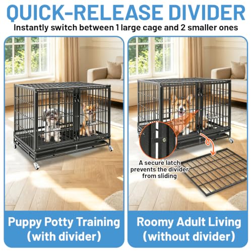 42" Tall Dog Crate with Divider (43 Inch x 8)