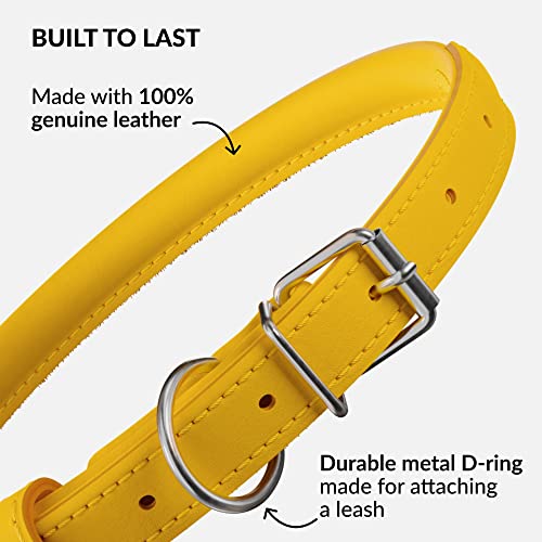 Tangle Free Rolled Leather Dog Collar