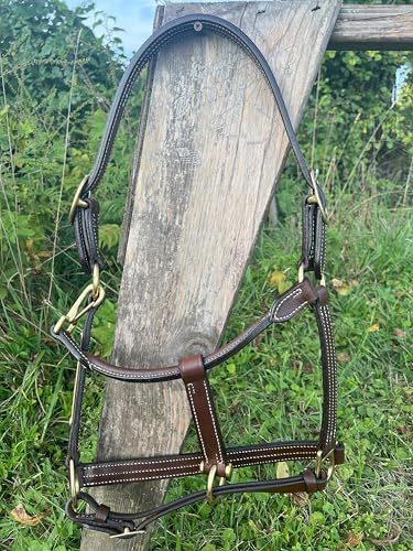 Leaders Leather Halter for Horses with Customized Engraved Name Plate Option Halter for Horse (Horse Size)