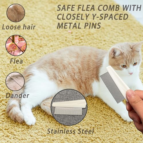 Cat Grooming Brush Kit 6 Tools (White)