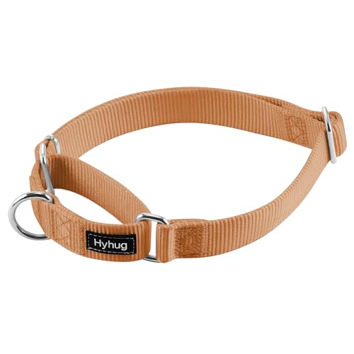 Martingale Collar for Dogs (XL / Clay)