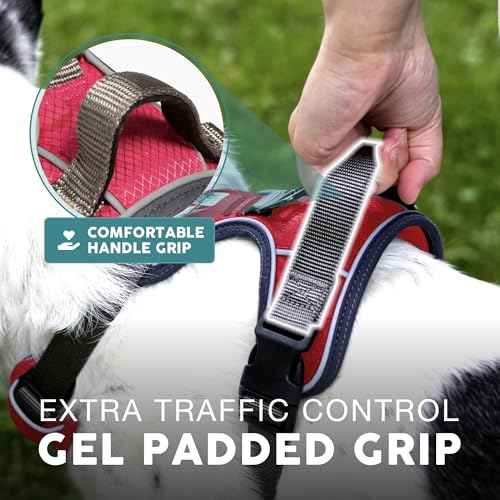 Embark No Pull Dog Harness (XS / Red)