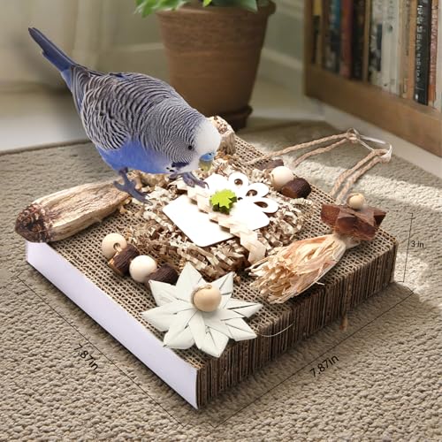 Bird Toys Parakeet Toys (Large)