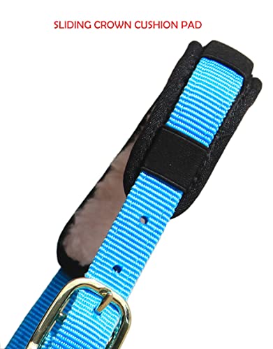 Lunge Cavesson with Fleece Lined Nose Band and Crown (Black / Full)