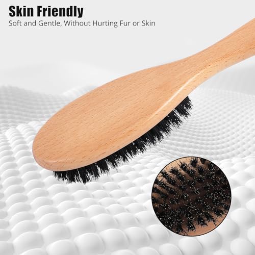 Boar Bristle Cat Brush with Wooden Handle (Wood)