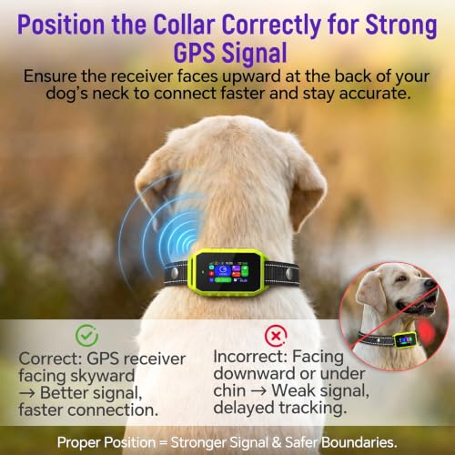GPS Wireless Dog Fence & Remote Training Collar (Green)