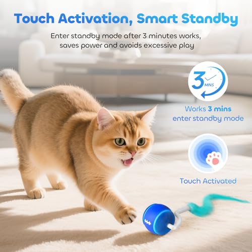 Interactive Cat Toy Ball for Indoor Cats with 3