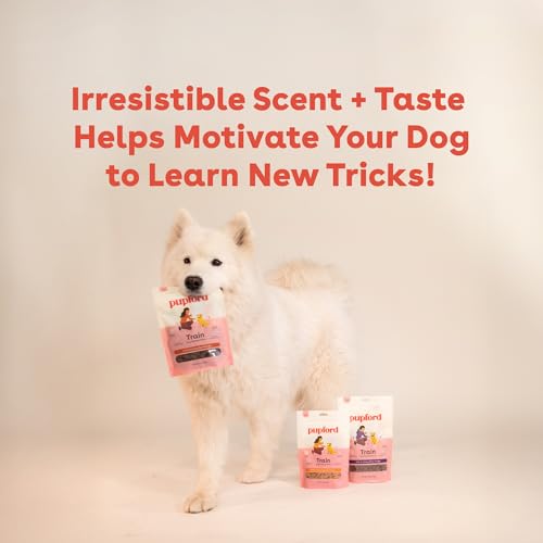 Soft & Chewy Training Treats for Dogs & Puppies (5 Ounce (Pack of 1))