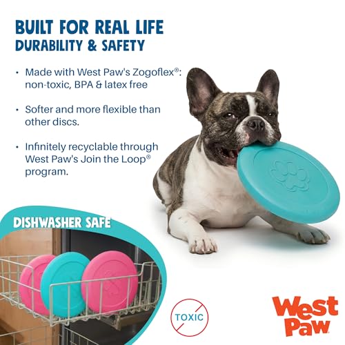 Zogoflex Zisc Dog Flying Disc (Large / Teal)