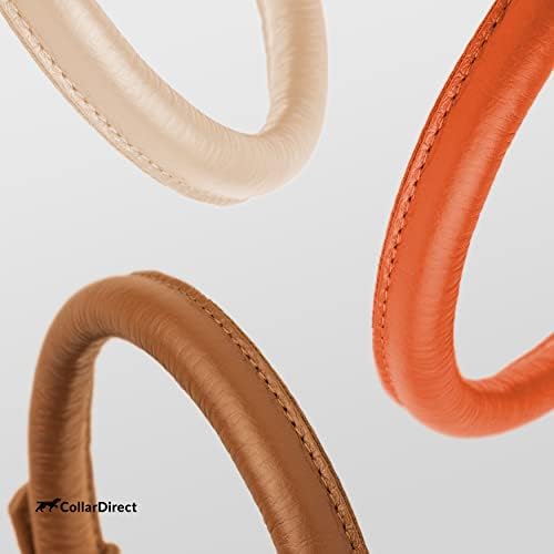 Tangle Free Rolled Leather Dog Collar (Orange / M)