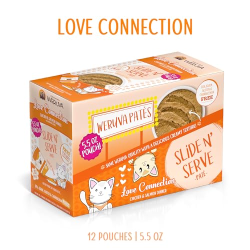 Wet Cat Food Love Connection with Chicken and Salmon Pate (5.5 Ounce (Pack of 12))
