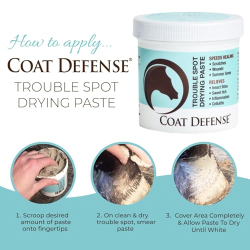 Trouble Spot Drying Paste for Horses (10 Oz)