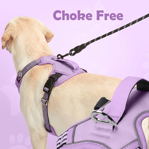 Dog Harness No Pull (Purple / Medium)
