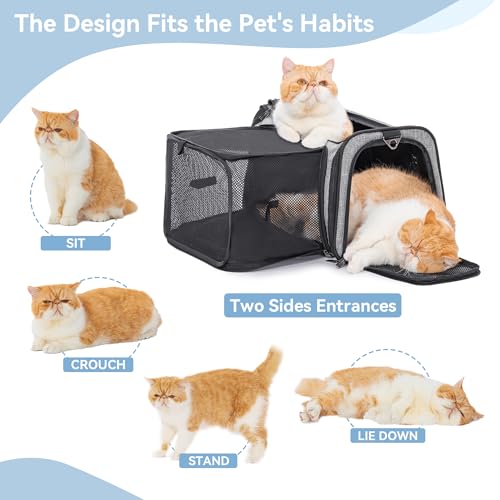 19"X12" X12" Expandable Pet Carrier (19.0"L x 12.0"W x 12.0"H / Gray)