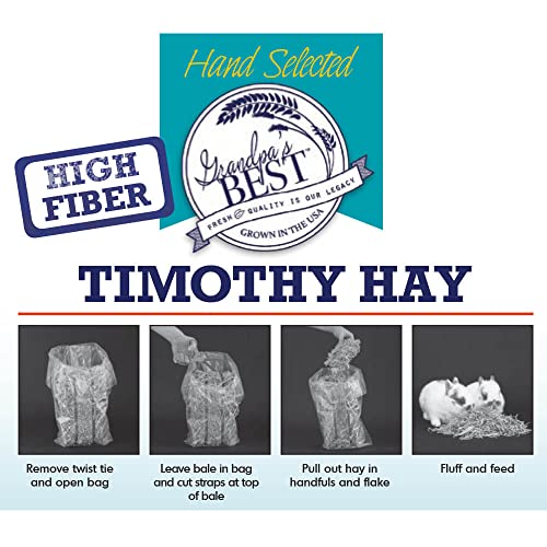 Timothy Hay Mini Bale (160 Ounce (Pack of 1))