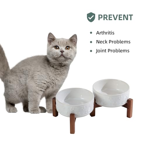 Elevated Dog Bowls (Double Bowls with Stand- Arctic White / 1.6CUPS)