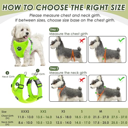 Dog Seat Belt and Harness for Car (Lime / Medium)