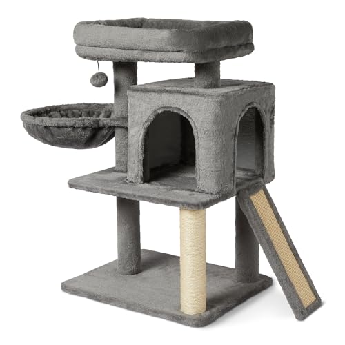 Indoor Cat & Kittens Multi (Medium – 31.1" (78.9cm) H)