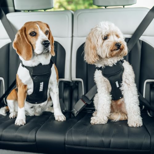 Cappy Dog Harness S (Small)