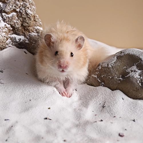 6.6lb Hamster Sand for Sand Bath (White-Flower / 6.6lb)