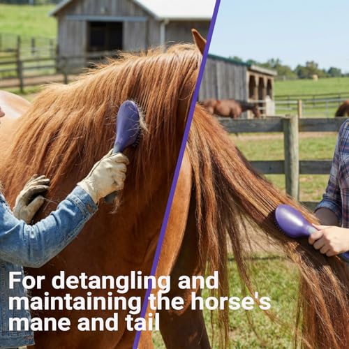 13 Piece Horse Grooming Kit (Purple)