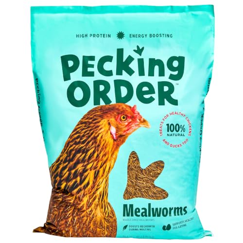 Dried Mealworms (11 Pound (Pack of 1))