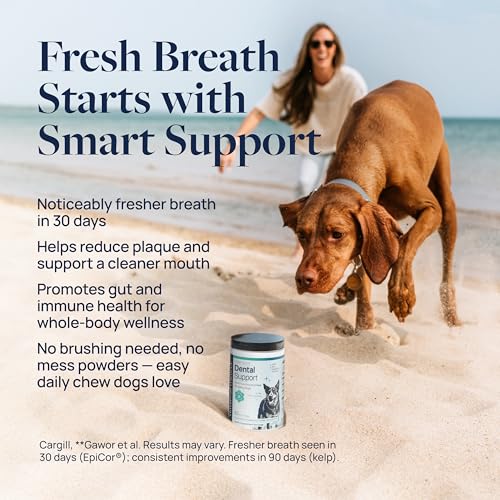 Smart Vitality Dental Support Dog Soft Chews (60 ct / Dental Support)