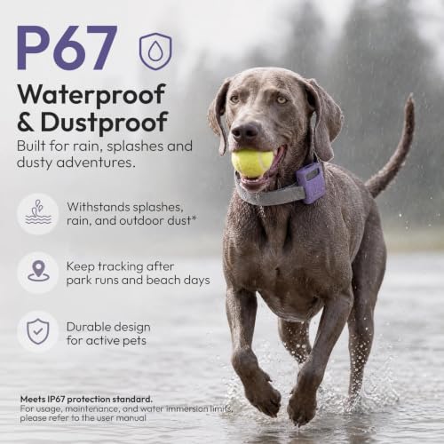 Pet Habit & Activity Smart Tracker