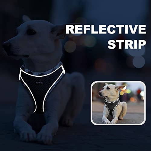 Dog Harness with Leash Set (XS / Black)