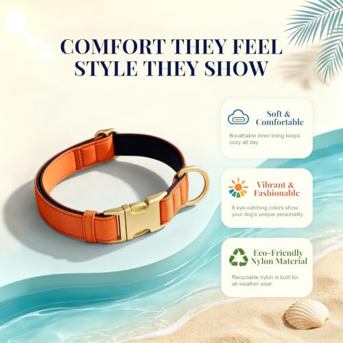 Soft Padded Dog Collar for Large Dogs (Orange / L：Fit 16-22" Neck, Width 1")