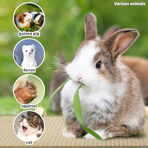2Pcs Rabbit Scratch Mat