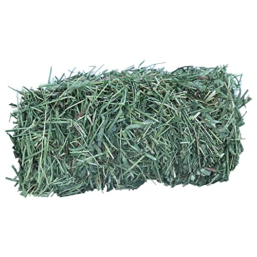 Timothy Hay Mini Bale (160 Ounce (Pack of 1))