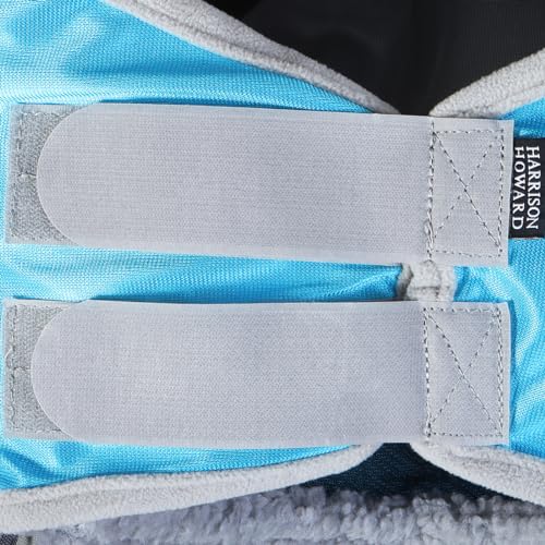 CareMaster Pro Luminous Horse Fly Mask Large Eye Space Standard with Ears UV Protection for Horse Sky Blue S Pony (Sky Blue / Small (Yearling))