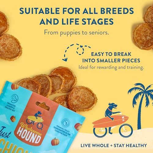 Chicken Pumpkin Chips Dog Treats (3 Ounce)