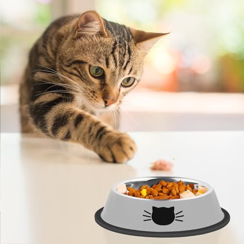 2 Pcs Non Slip Stainless Steel Small Cat Food Bowls (Silver / 7 oz)
