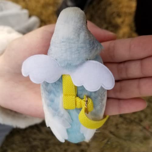 Pet Parrot Bird Harness Leash Adjustable Bird Flying Harness Traction Rope with Cute Wing for Parrots Pigeons Budgerigar Lovebird Cockatiel Mynah Outdoor Training Toy (S / Purple)
