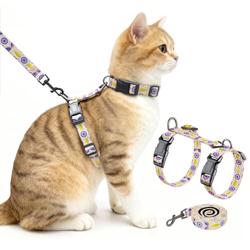 Cat Harness and Leash Set (Pastel Floral / Small (4-10 lb))