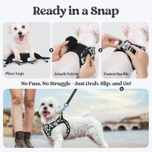 Dog Harness Medium Sized and Leash Set (Midnight Daisy / M (chest: 16 - 18.5"))