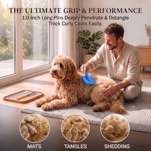 Slicker Brush for Dog (Large / Blue)