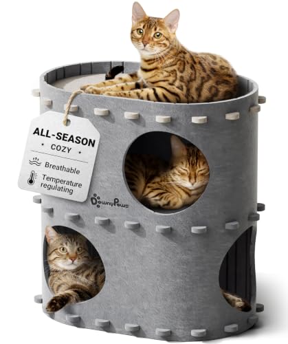 Cat House for Indoor Cats (Light Gray / Double)