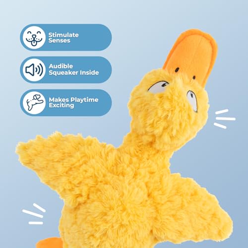 Squeaky Plush Dog Toy (Ducky Doodle (Yellow) / Large)