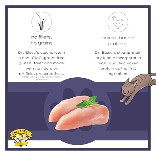 cleanprotein Chicken Recipe Wet Cat Food (5.3 Ounce (Pack of 24))