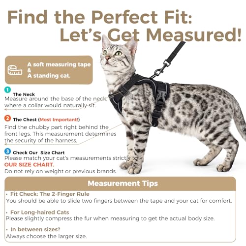 Cat Harness and Leash Set (Black / XX-Large)