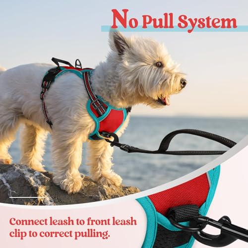 Dog Harness No Pull for Small Dogs with 2 Leash Clips (X-Small / Red & Teal)