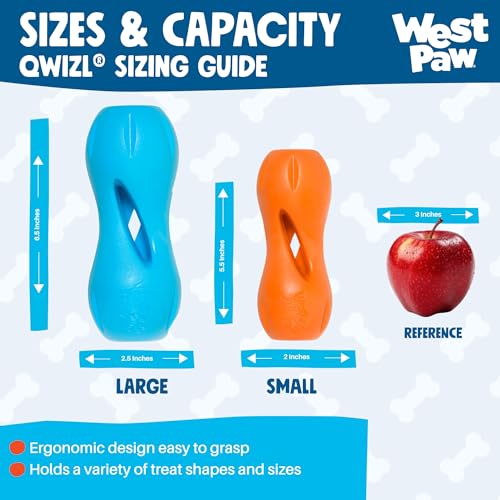 Qwizl Durable Zogoflex Dog Puzzle Toy for Mental Stimulation (Small / Aqua Blue)