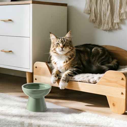 Extra Wide Elevated Ceramic 6.2" Deeper Cat Water Bowl (Sage Green-Deeper)