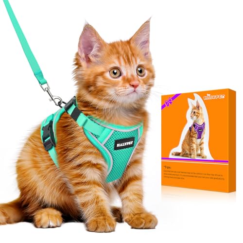 Cat Harness and Leash Set (H600 Pro Green / X-Small (4-6lb))